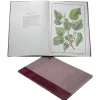 Fashion Limited Edition The Queen'S Mulberries Royal Collection Publications