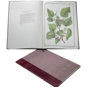 Fashion Limited Edition The Queen'S Mulberries Royal Collection Publications