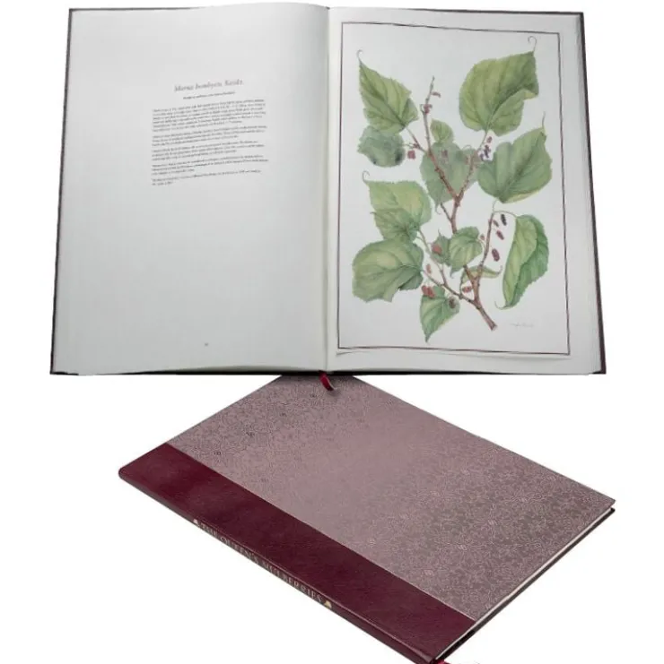 limited_edition_the_queens_mulberries_0.webp Fashion Limited Edition The Queen'S Mulberries Royal Collection Publications